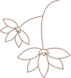 Decorative flower